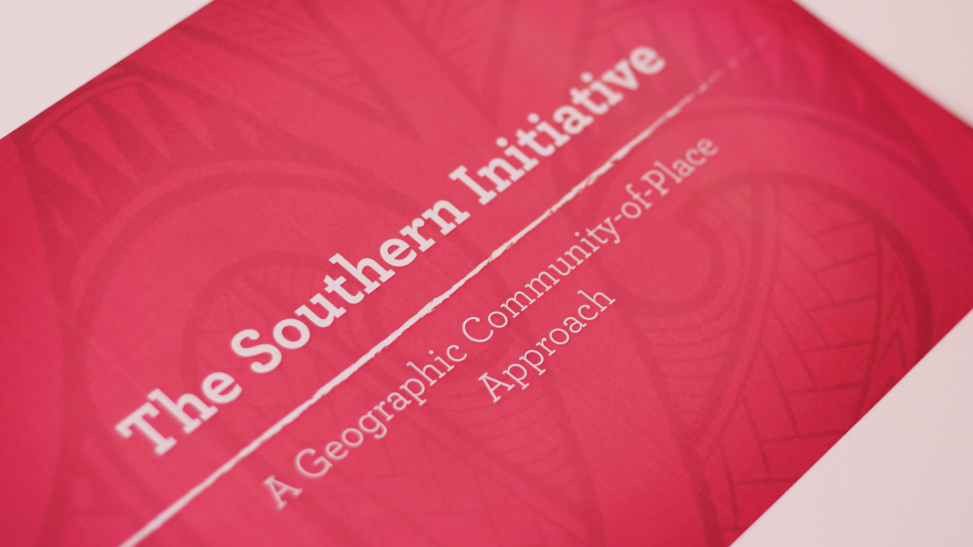 The Southern Initiative document